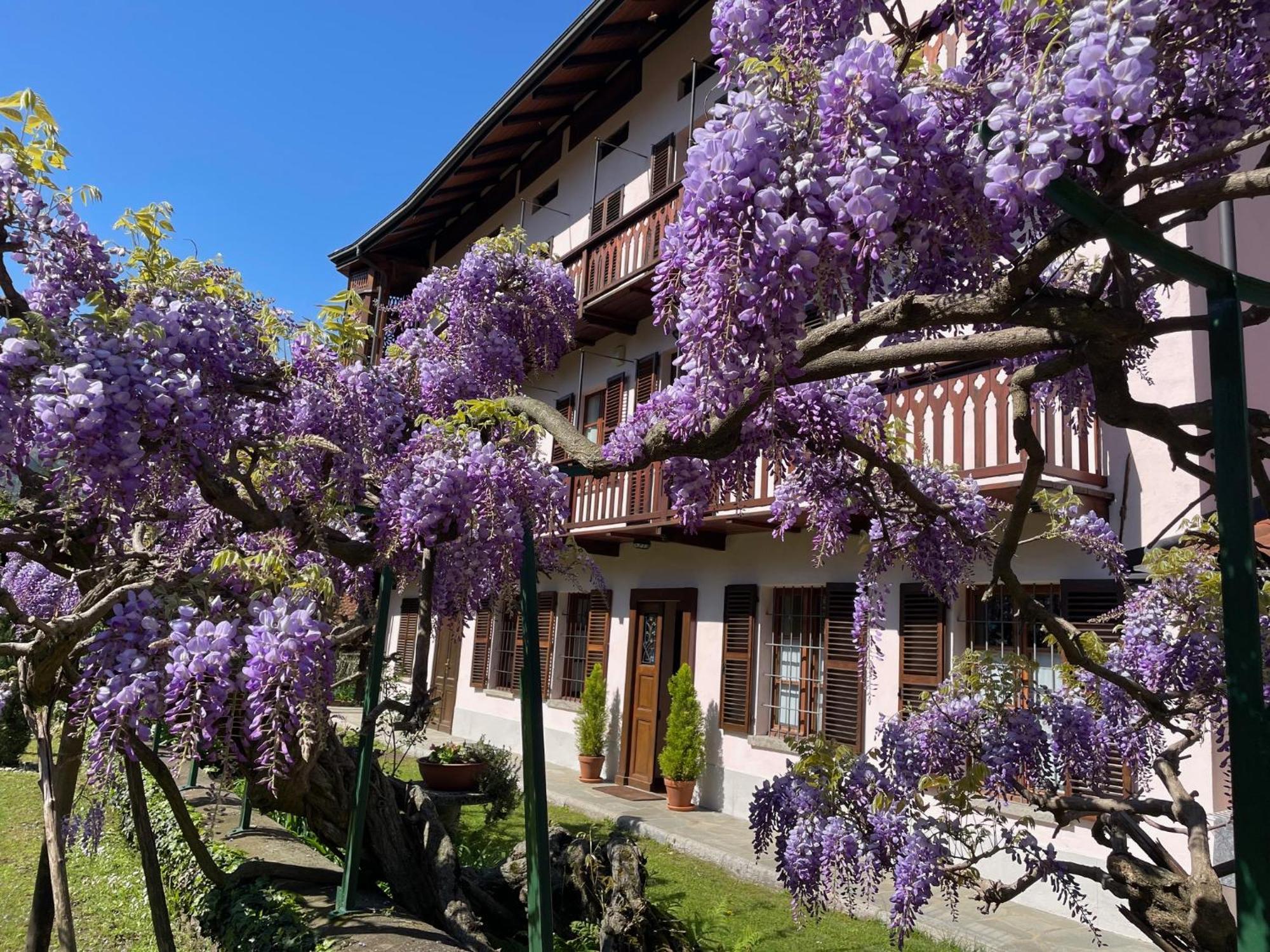 Dimora Fiorita Senior My Holiday Home Varallo Εξωτερικό φωτογραφία