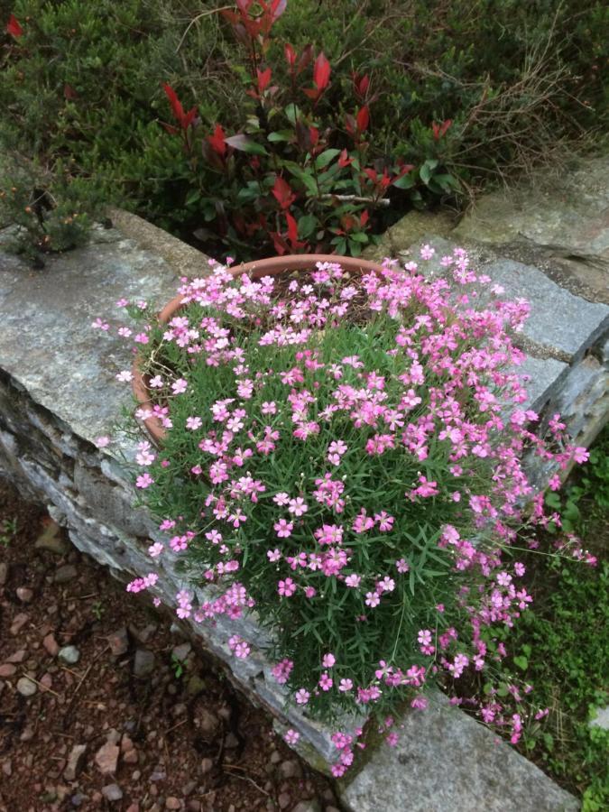 Dimora Fiorita Senior My Holiday Home Varallo Εξωτερικό φωτογραφία